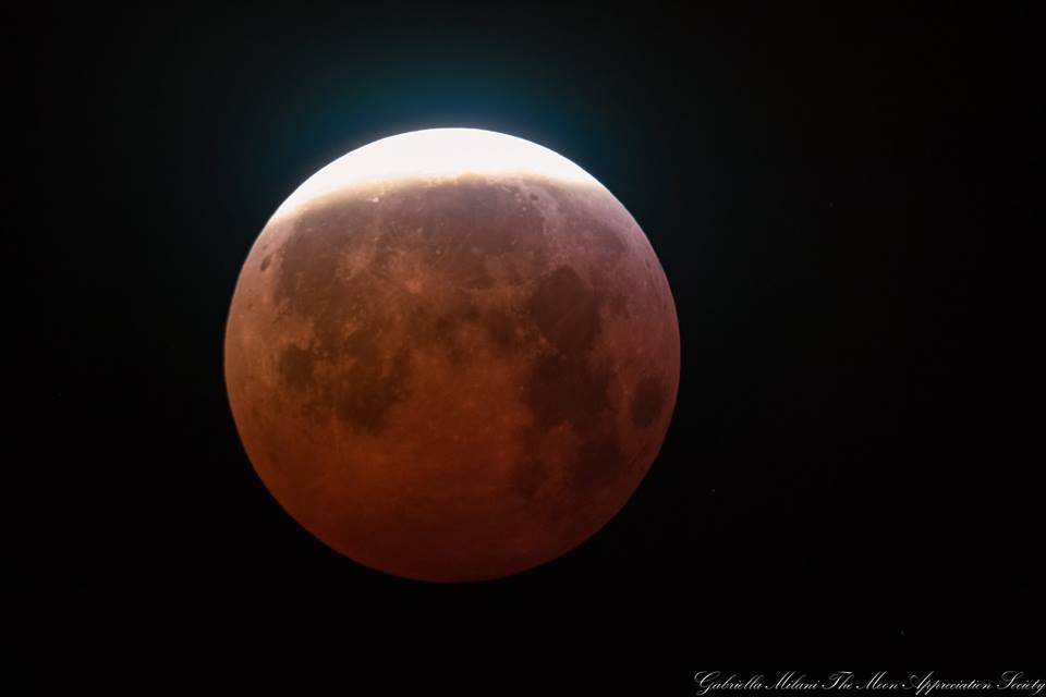 This morning's Lunar Eclipse 1 - Gabriella Milani 